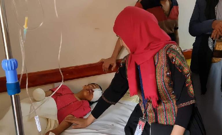 اللجنة الوطنية تستكمل أعمال التحقيق في الوقائع الأخيرة للقصف وانفجار الألغام  