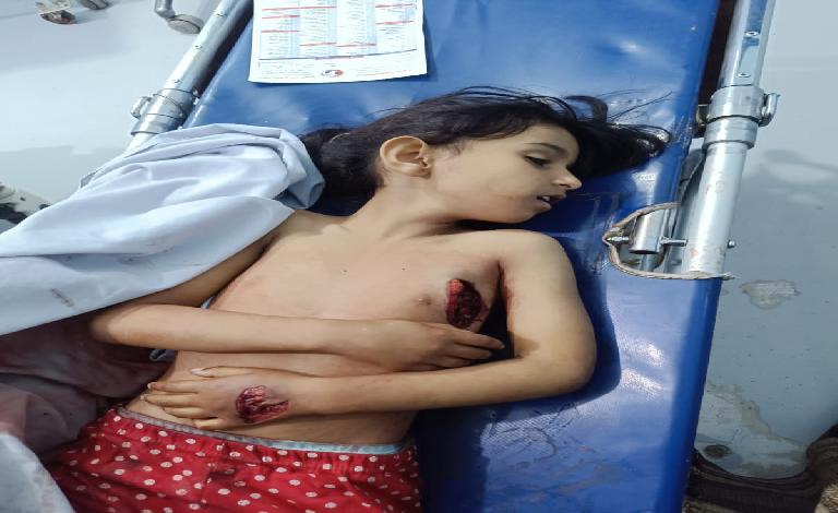 منظمة عين تدين مقتل طفلة وإصابة شقيقتها برصاص الحوثيين في البيضاء