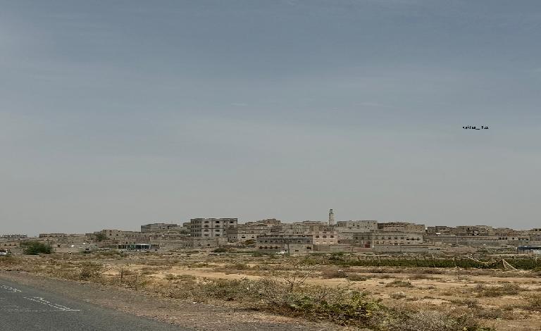 البيضاء: مقتل مواطن برصاص مسلحي الحوثي في حنكة ال مسعود بمديرية القريشية